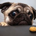 สมาชิกหมายเลข 3659004