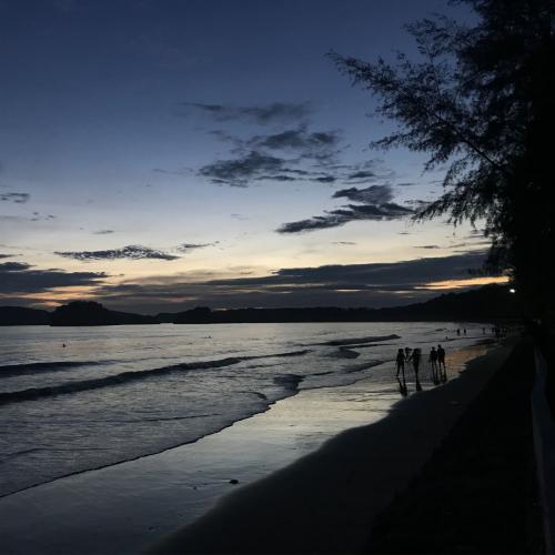 สมาชิกหมายเลข 2473788