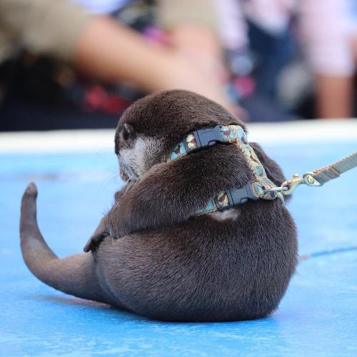 สมาชิกหมายเลข 2753385