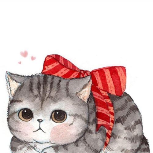 สมาชิกหมายเลข 4547269