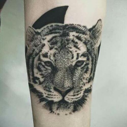 สมาชิกหมายเลข 4887875