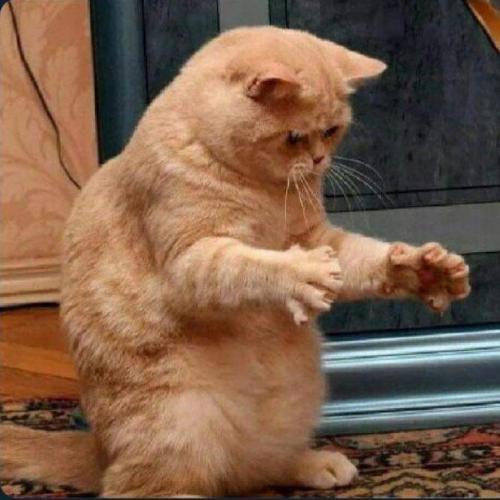 สมาชิกหมายเลข 4239568