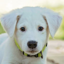 สมาชิกหมายเลข 5281324