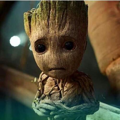 สมาชิกหมายเลข 5282572