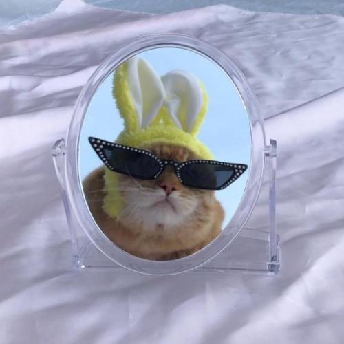 สมาชิกหมายเลข 2321326