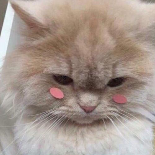 สมาชิกหมายเลข 5728501