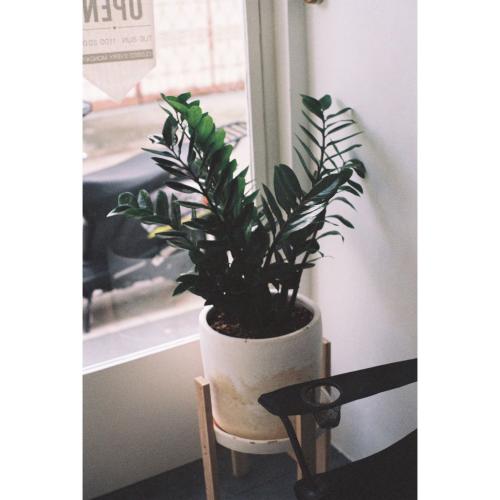 สมาชิกหมายเลข 2589028