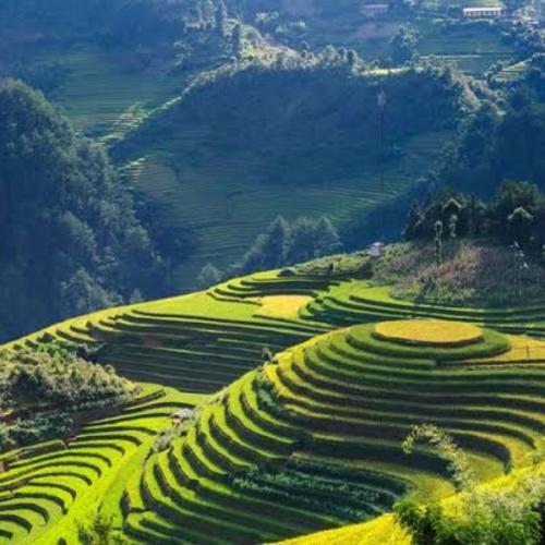 สมาชิกหมายเลข 2688136