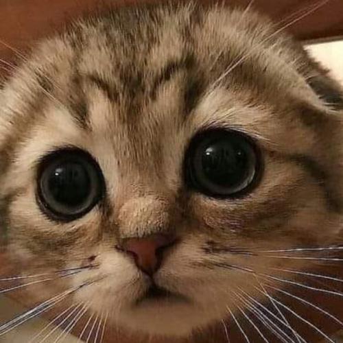 สมาชิกหมายเลข 4549563