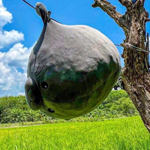 สมาชิกหมายเลข 6992773