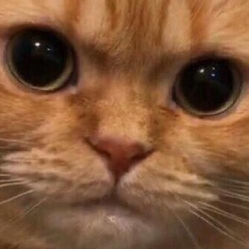 สมาชิกหมายเลข 6992861