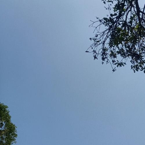 สมาชิกหมายเลข 6993086