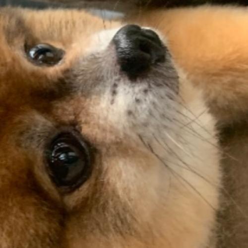 สมาชิกหมายเลข 7757449