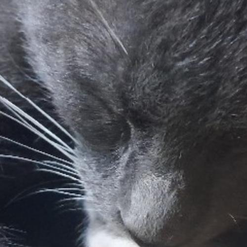 สมาชิกหมายเลข 7352050