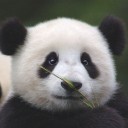 สมาชิกหมายเลข 1304352