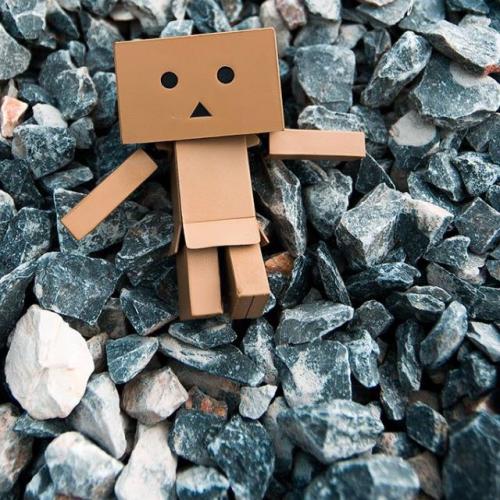 สมาชิกหมายเลข 4119586