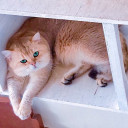 สมาชิกหมายเลข 4155611