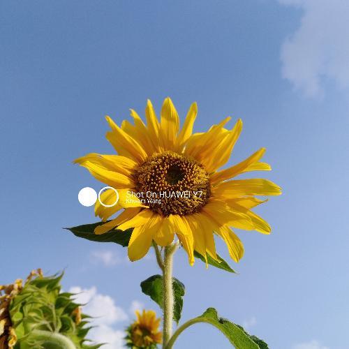 สมาชิกหมายเลข 4507182