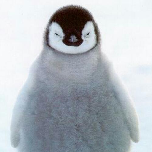 สมาชิกหมายเลข 4540978