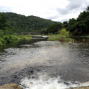 สมาชิกหมายเลข 4547471