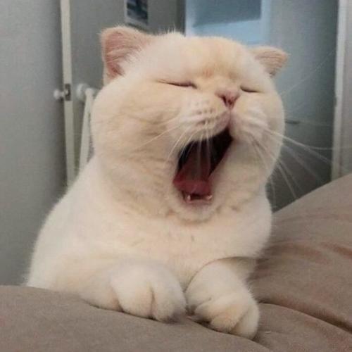 สมาชิกหมายเลข 4691995