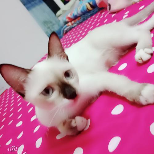 สมาชิกหมายเลข 4840142