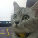 สมาชิกหมายเลข 4888179