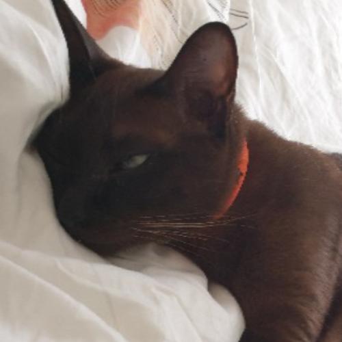 สมาชิกหมายเลข 1993318