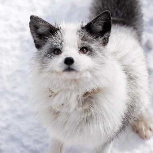 สมาชิกหมายเลข 4895281