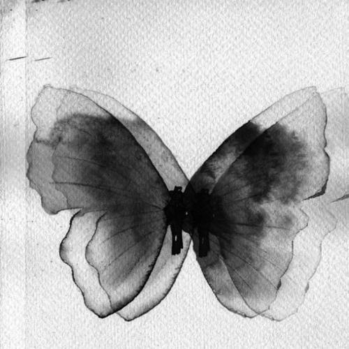 สมาชิกหมายเลข 6969382