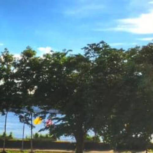 สมาชิกหมายเลข 6993499