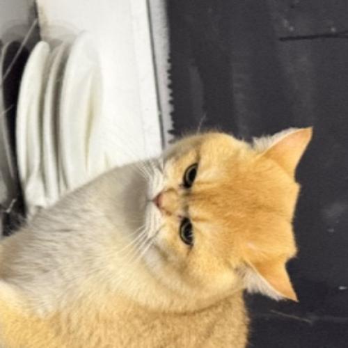 สมาชิกหมายเลข 1935366