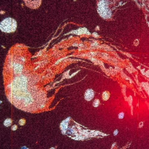 สมาชิกหมายเลข 5133480