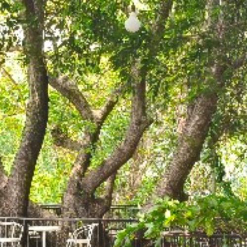 สมาชิกหมายเลข 7296644