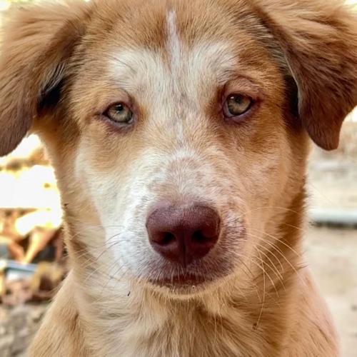 สมาชิกหมายเลข 8716397