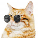 สมาชิกหมายเลข 1980036