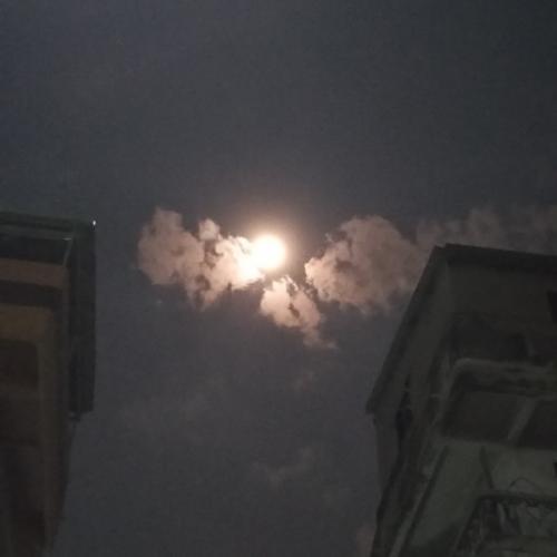 สมาชิกหมายเลข 3013690