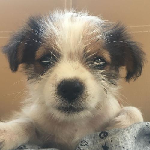 สมาชิกหมายเลข 5283444