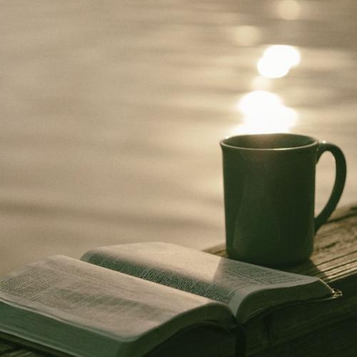 สาวชาวไร่