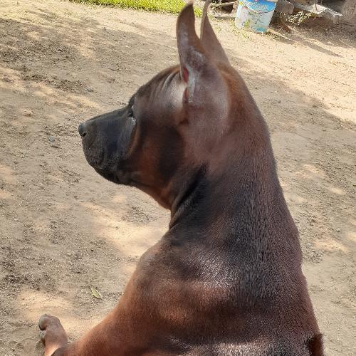 สมาชิกหมายเลข 5774126