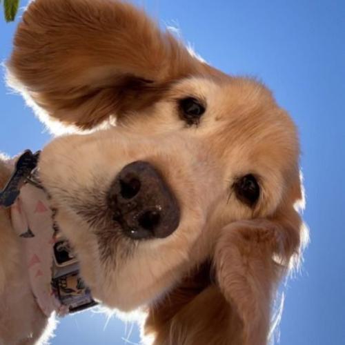 สมาชิกหมายเลข 5053333