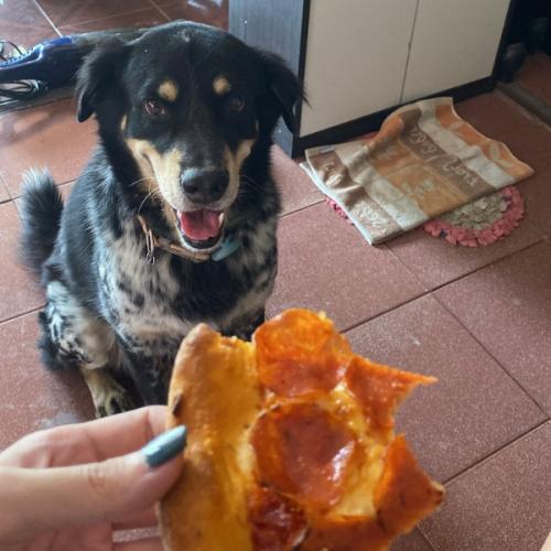 สมาชิกหมายเลข 4484848