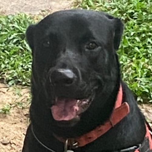 สมาชิกหมายเลข 8717701