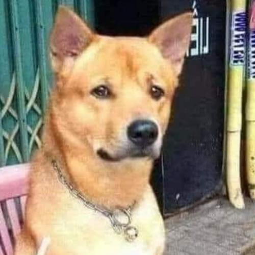 สมาชิกหมายเลข 8717977