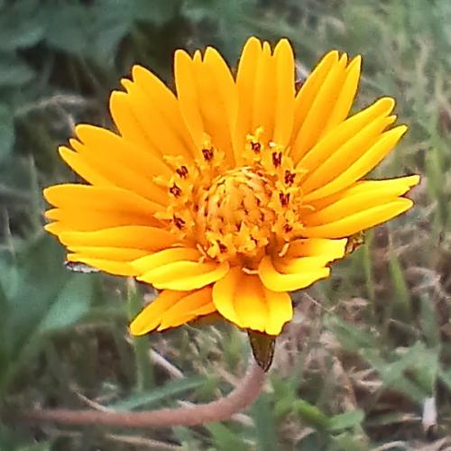 สมาชิกหมายเลข 8718793