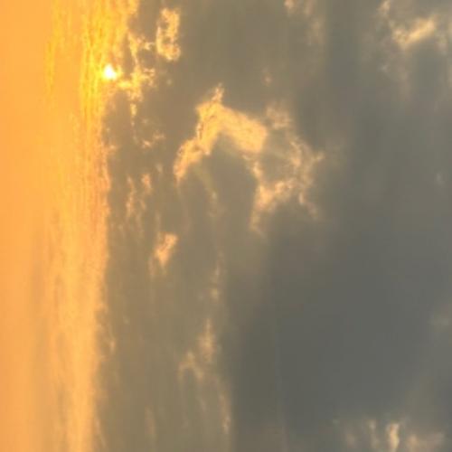 สมาชิกหมายเลข 8719713