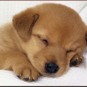 สมาชิกหมายเลข 3660580