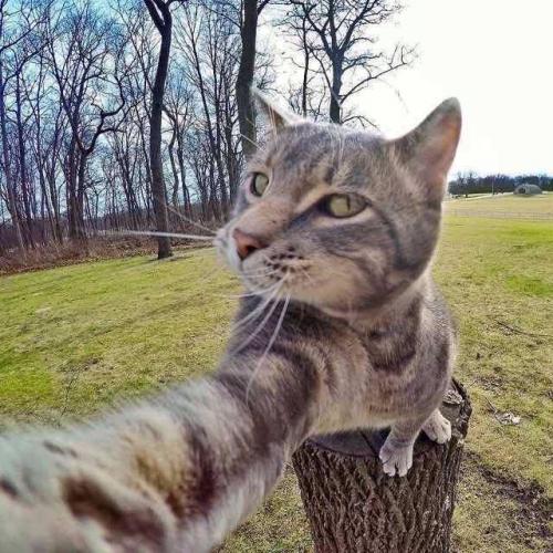 สมาชิกหมายเลข 2956793