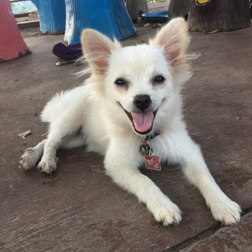 นามแฝงมีคนใช้แล้ว