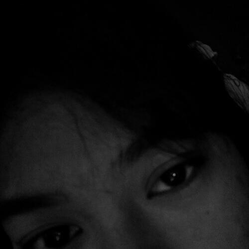 สมาชิกหมายเลข 4032051